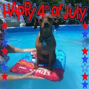 Meet your Posher, Susan